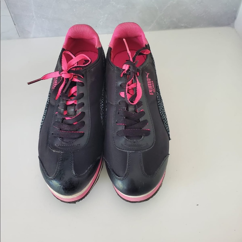 Puma roma